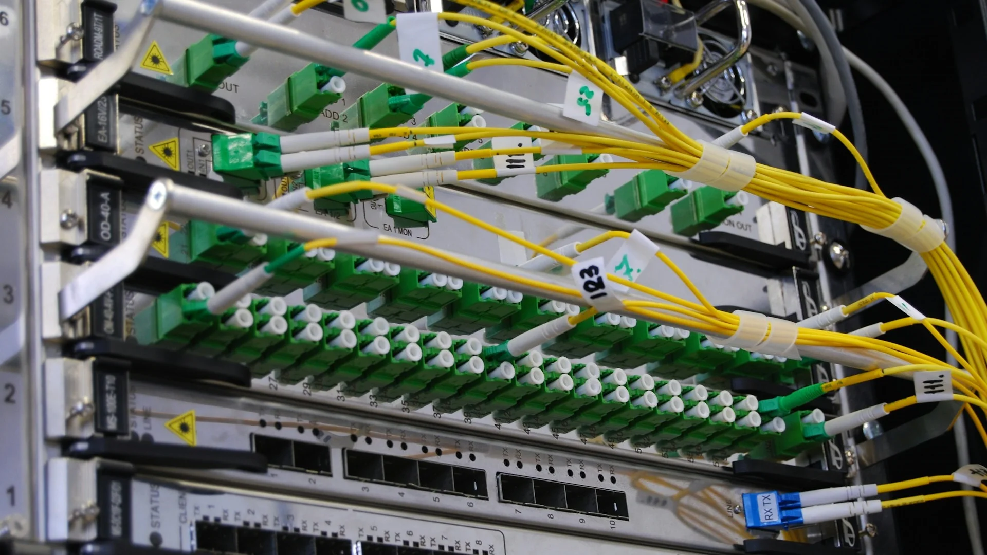 fibra